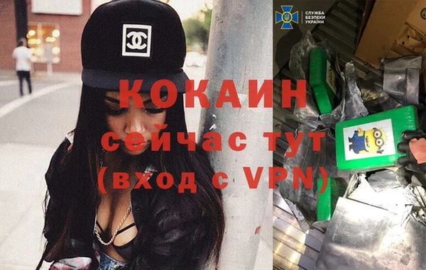 трава Балахна