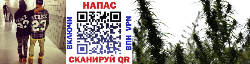 Шишки марихуана Ganja  Надым 